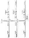 Fig. 10 - Combined hairpin-antisense compositions and methods for modulating expression