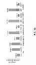 Fig. 11 - Combined hairpin-antisense compositions and methods for modulating expression
