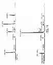 Fig. 12 - Combined hairpin-antisense compositions and methods for modulating expression