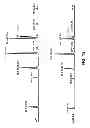 Fig. 14 - Combined hairpin-antisense compositions and methods for modulating expression