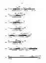 Fig. 02 - Method for the generation and cultivation of a plant cell pack