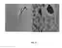 Fig. 06 - Preparation of CIGS absorber layers using coated semiconductor nanoparticle and nanowire networks