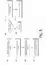 Fig. 09 - Reverse number look up