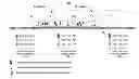Fig. 01 - Mobility management for LTE network for high-speed railway