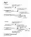 Fig. 08 - Wireless communication apparatus for wireless network and computer readable media