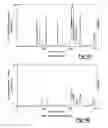 Fig. 04 - Viscoelastic dampener