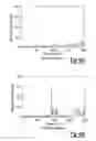 Fig. 06 - Viscoelastic dampener
