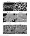 Fig. 22 - Porous ceramic article and method of manufacturing the same