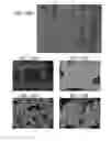 Fig. 35 - Porous ceramic article and method of manufacturing the same