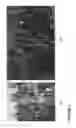 Fig. 02 - Plant Growth Enhancing Mixture and Method of Applying Same