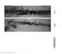 Fig. 04 - Plant Growth Enhancing Mixture and Method of Applying Same