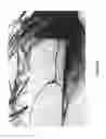 Fig. 07 - Plant Growth Enhancing Mixture and Method of Applying Same