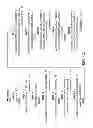 Fig. 02 - FUNCTIONAL CELL SURFACE DISPLAY OF LIGANDS FOR THE INSULIN AND/OR INSULIN GROWTH FACTOR 1 RECEPTOR AND APPLICATIONS THEREOF