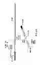 Fig. 07 - FUNCTIONAL CELL SURFACE DISPLAY OF LIGANDS FOR THE INSULIN AND/OR INSULIN GROWTH FACTOR 1 RECEPTOR AND APPLICATIONS THEREOF