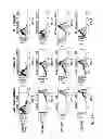 Fig. 19 - FUNCTIONAL CELL SURFACE DISPLAY OF LIGANDS FOR THE INSULIN AND/OR INSULIN GROWTH FACTOR 1 RECEPTOR AND APPLICATIONS THEREOF