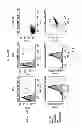 Fig. 23 - FUNCTIONAL CELL SURFACE DISPLAY OF LIGANDS FOR THE INSULIN AND/OR INSULIN GROWTH FACTOR 1 RECEPTOR AND APPLICATIONS THEREOF