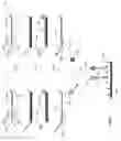 Fig. 06 - Detection of Target Nucleic Acids using Hybridization