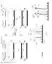 Fig. 07 - Detection of Target Nucleic Acids using Hybridization