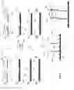 Fig. 09 - Detection of Target Nucleic Acids using Hybridization