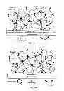 Fig. 02 - Compositions and methods for entrapping protein on a surface