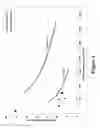 Fig. 02 - DIESTER-BASED BASE OIL BLENDS WITH IMPROVED COLD FLOW PROPERTIES AND LOW NOACK