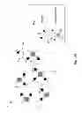 Fig. 31 - Binding-site modified lectins and uses thereof