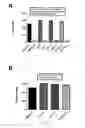 Fig. 29 - Compounds for inhibition of MMP13-substrate interactions and methods of use thereof to treat osteoarthritis and cartilage degeneration