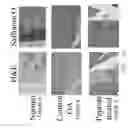 Fig. 30 - Compounds for inhibition of MMP13-substrate interactions and methods of use thereof to treat osteoarthritis and cartilage degeneration