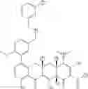 Fig. 331 - METHODS OF USING SUBSTITUTED TETRACYCLINE COMPOUNDS TO MODULATE RNA