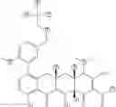Fig. 445 - METHODS OF USING SUBSTITUTED TETRACYCLINE COMPOUNDS TO MODULATE RNA