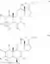 Fig. 08 - ROR gamma modulators