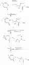 Fig. 08 - N-link hydroxamic acid derivatives useful as antibacterial agents