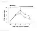 Fig. 07 - Skin barrier function improving agent