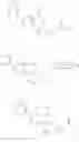 Fig. 99 - Isoquinoline and naphthyridine derivatives