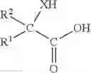Fig. 35 - PROCESS FOR PREPARING CEPHALOTAXINE ESTERS
