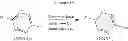 Fig. 147 - DIHYDROFURAN DERIVATIVES AS INSECTICIDAL COMPOUNDS