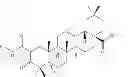 Fig. 02 - 2-substituted oleanolic acid derivative, method preparing for same, and application thereof