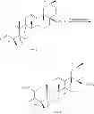 Fig. 28 - 2-substituted oleanolic acid derivative, method preparing for same, and application thereof