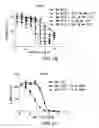 Fig. 03 - Compositions and methods for treating cancer