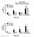 Fig. 06 - Compositions and methods for treating cancer