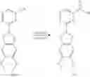 Fig. 32 - Compositions and methods for treating cancer