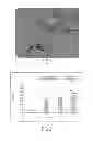 Fig. 02 - Cosmetic or dermatological composition comprising alkyl polypentoside vesicles, and method for preparing the same