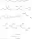 Fig. 06 - Pyrrolidine derivatives, pharmaceutical compositions and uses thereof