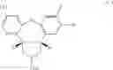Fig. 22 - Norepinephrine and selective serotonin receptor blocker and use thereof