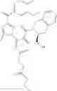 Fig. 22 - Compounds for inhibiting the interaction of BCL2 with binding partners