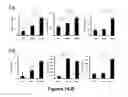Fig. 02 - Methods of Diagnosing and Treating Multiple Sclerosis
