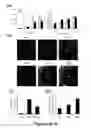Fig. 04 - Methods of Diagnosing and Treating Multiple Sclerosis