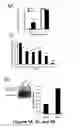 Fig. 06 - Methods of Diagnosing and Treating Multiple Sclerosis