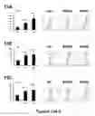 Fig. 15 - Methods of Diagnosing and Treating Multiple Sclerosis