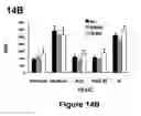 Fig. 17 - Methods of Diagnosing and Treating Multiple Sclerosis